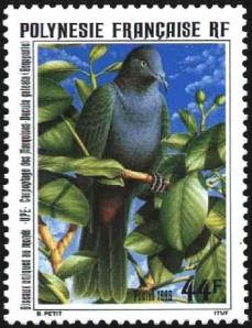 pigeon sur timbre