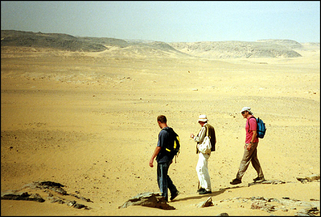 bord du désert egyptien