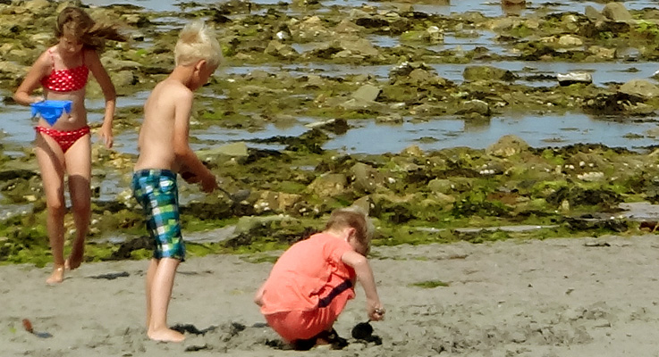 enfants dans les algues